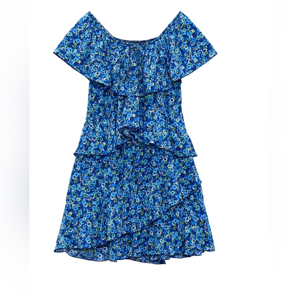 Zara Blue Floral Ruffle Dress